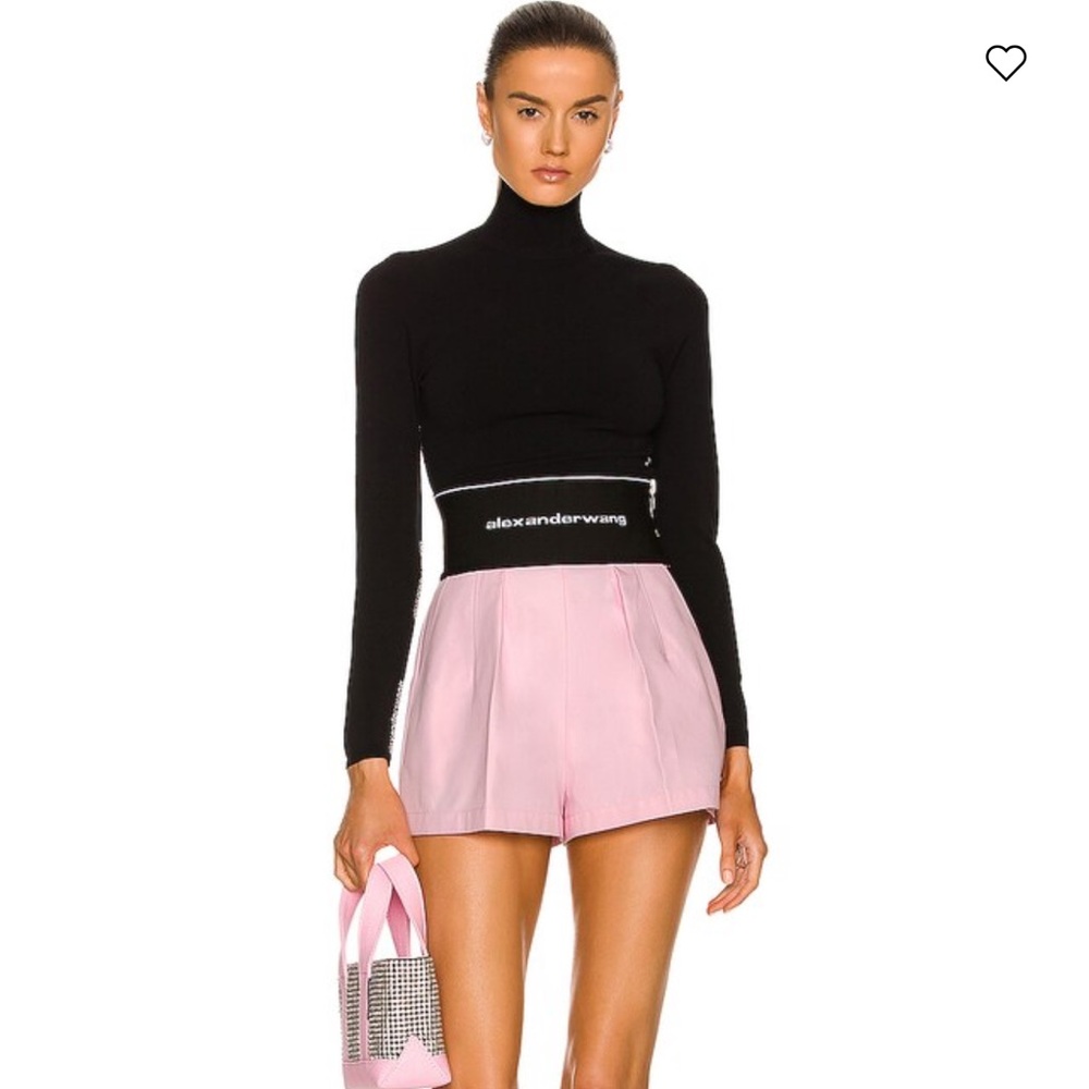 Alexander wang pants